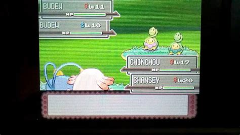 Almost Fail Shiny Budew After 6394 Pokemon Seen YouTube