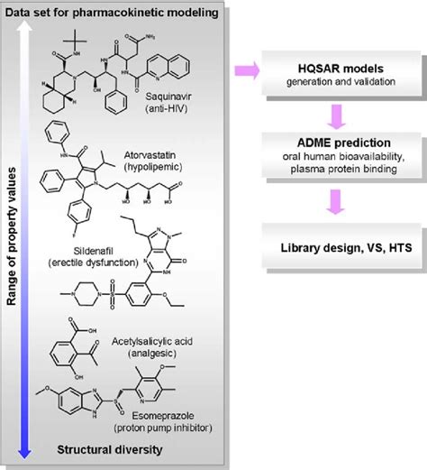 Hqsar Pharmacokinetic Model Generation And Integrated Adme Property Download Scientific Diagram