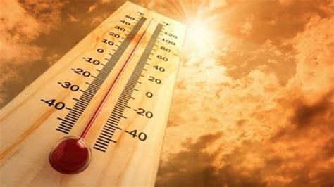 Olas de calor inundaciones y sequías 4 de 5 ciudades del mundo