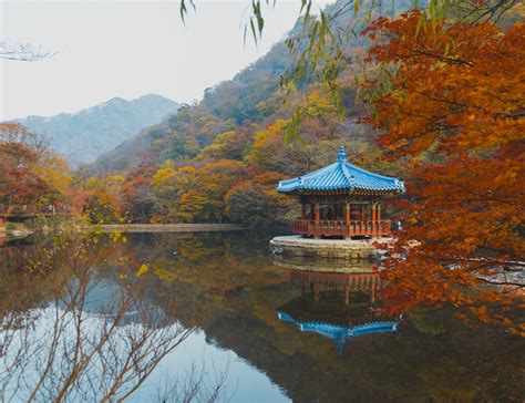 Autumn in Korea 2019: Forecast, Food, Festivals, and More – There She ...