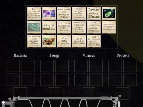 Different Types of Microbes - Group sort