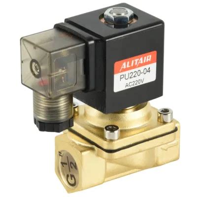 2 2 Way Shako Type Brass Body Direct Acting Water Valve PU220 04