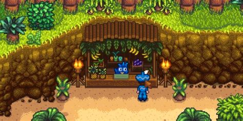 Stardew Valley How To Get Pineapple Seeds