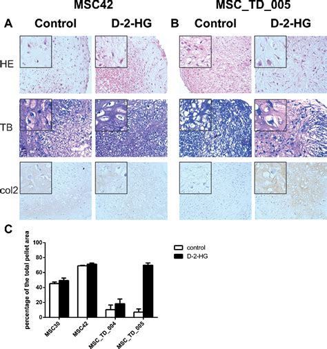 Figure From The Oncometabolite D Hydroxyglutarate Induced By Mutant