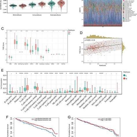 The Landscape Of Immune Infiltration In Riskscore H And Riskscore L