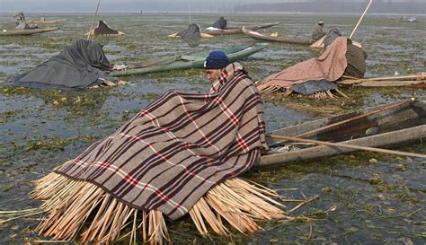 FOTO Melihat Cara Tangkap Ikan Ala Nelayan Di India Foto Liputan6