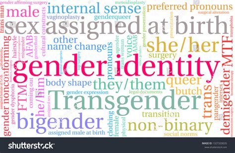 Gender Identity Word Cloud On White Stock Vector Royalty Free