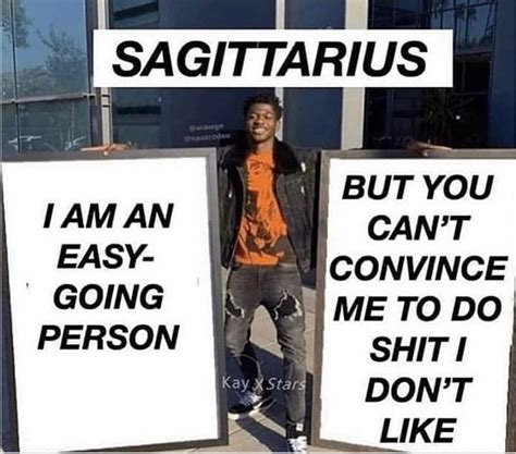 28 Funny And Relatable Sagittarius Memes So Syncd