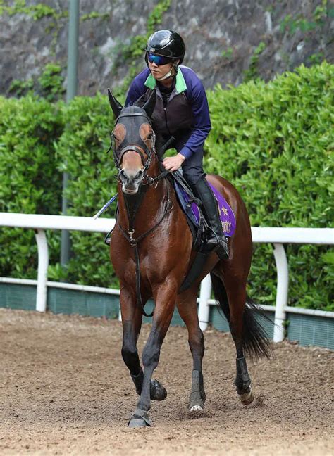 【安田記念】グランアレグリアにスキあり！ラウダシオンが大仕事の予感― スポニチ Sponichi Annex ギャンブル