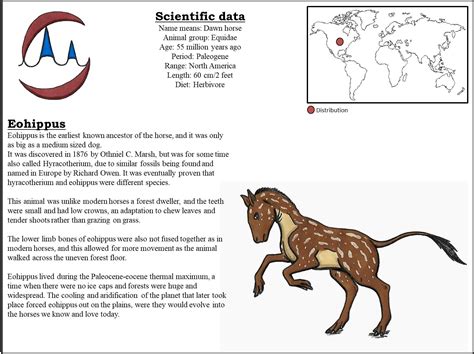 Extinct encyclopedia - Eohippus by herofan135 on DeviantArt