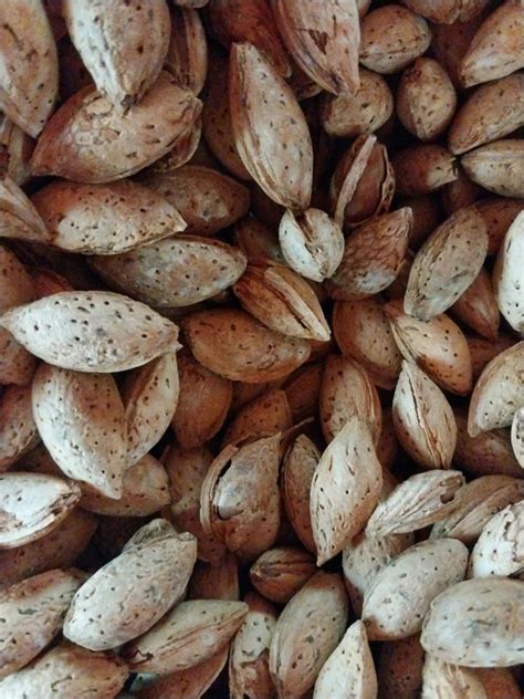 Almond Kagzi Badam At Kg Almond Nuts In Pampora Id