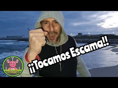 Captura De Lubina Y Sargos En Pesca Surfcasting Pallico Youtube