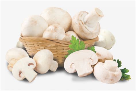 Fresh Button Mushroom 1 Kg Per Packets By Apna Mushroom Apna Mushroom