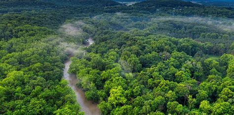 Le Bassin Du Congo Est Il Le Deuxième Poumon Vert De La Planète Slate Fr