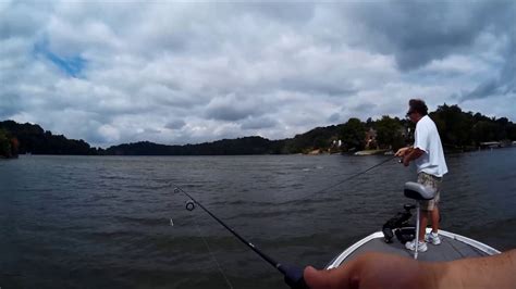 White Bass Feeding Frenzy Fort Loudoun Lake 7 28 16 Youtube