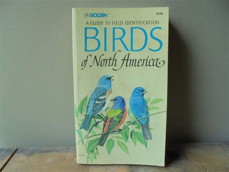 Golden A Guide To Field Identification BIRDS Of North America Etsy In