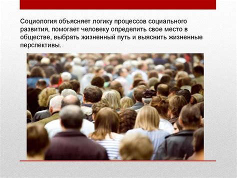 Социология. Область профессиональной деятельности социологов ...