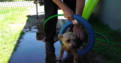 7 Cool Hacks For Pool Noodles Tiphero