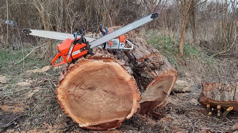 Husqvarna 3120xp And Stihl Ms 881 Big Woodbig Bars Youtube