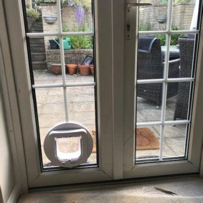 Cat Flap Installation In Godalming Cat Out Of Glass