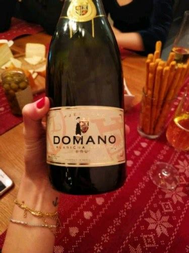 Vina Zadro Domano Pjenušac Brut Vivino US