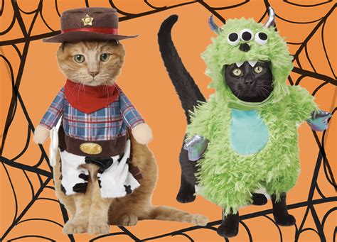 30 Cat Halloween Costumes for Your Ferocious Little Beast