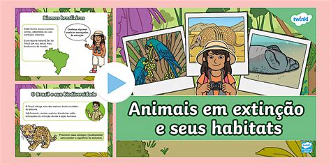 PowerPoint: Animais em extinção {ciências} (Teacher-Made)