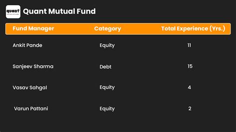 Quant Mutual Fund Explore Latest Schemes Nav And Returns 2024