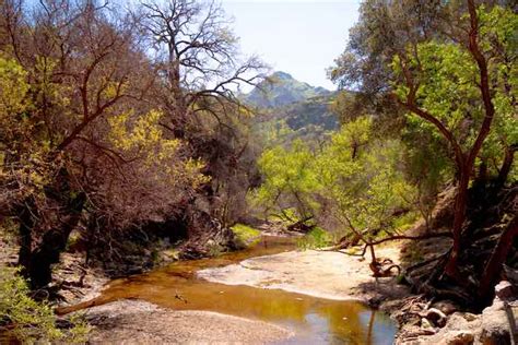 Malibu Creek State Park Camping Guide - Beyond The Tent