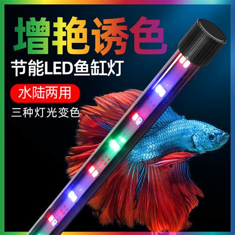 鱼缸灯led防水三色变色全光谱增艳灯小型水族箱照明灯赏鱼灯吸盘虎窝淘