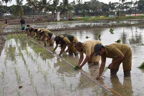 Agronomy UG Courses – Directorate of Crop Management