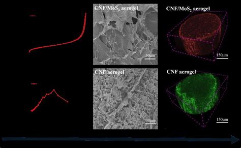 A Nitrogen Adsorption And Desorption Isotherms For Cnf And Cnfmos 2