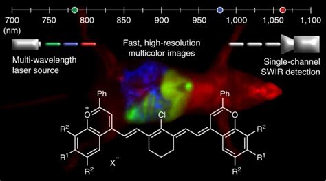 纳米人 Nature Chemistry：与激发激光匹配的短波红外聚次甲基荧光团实现无创、多色体内实时成像