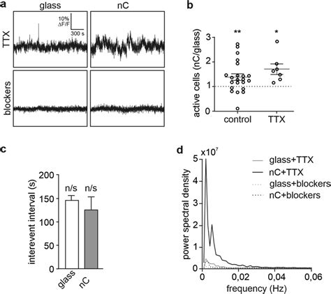 Intracellular Calcium Oscillations In Div 1 Neurons After Application