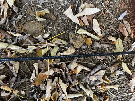 B and Q Bury Manchester sales are drawing huge local crowds 9