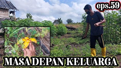 BAHOK AR MENYEMPROT DI KEBUN MASA DEPAN KELUARGA Eps59 YouTube