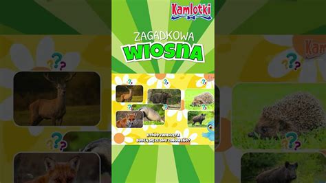 Które zwierzęta budzą się ze snu zimowego Zagadkowa wiosna CDA