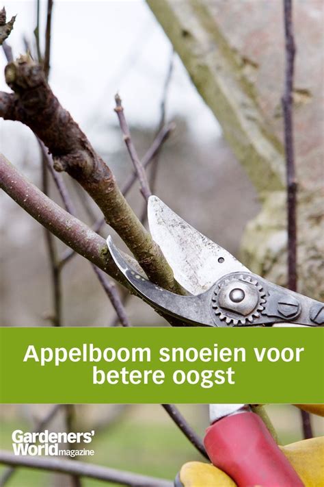 Je Appelboom Snoeien In De Winter Voor Lekkerder Fruit Artofit