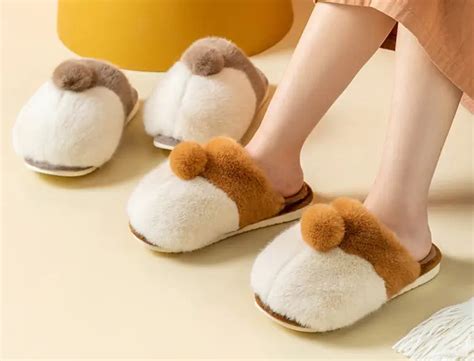 Orange Corgi Booty Kawaii Slippers Japan Box