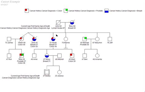 Pedigree Canvas Desktop Progeny Genetics