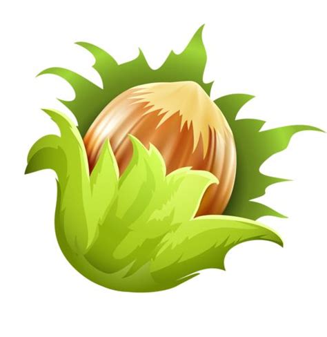 Орехи.Шишки.Семена. | Растения, Зайчата, Работы