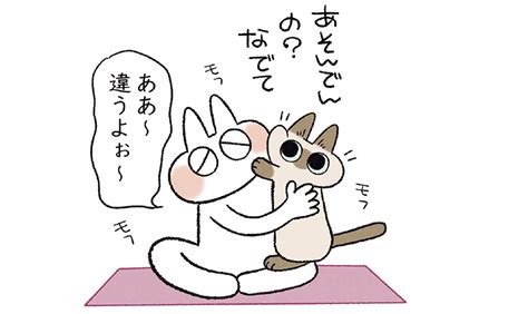 「遊んでんの？」健康のためにヨガを始めたら、可愛い猫に邪魔されて／とってもシャム猫あずきさんは世界の中心（6） レタスクラブ