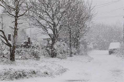 Snow in Cornwall in 40 pictures - Cornwall Live