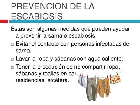 Enfermedades Causadas Por Microorganismos Escabiosis O Sarna Humana