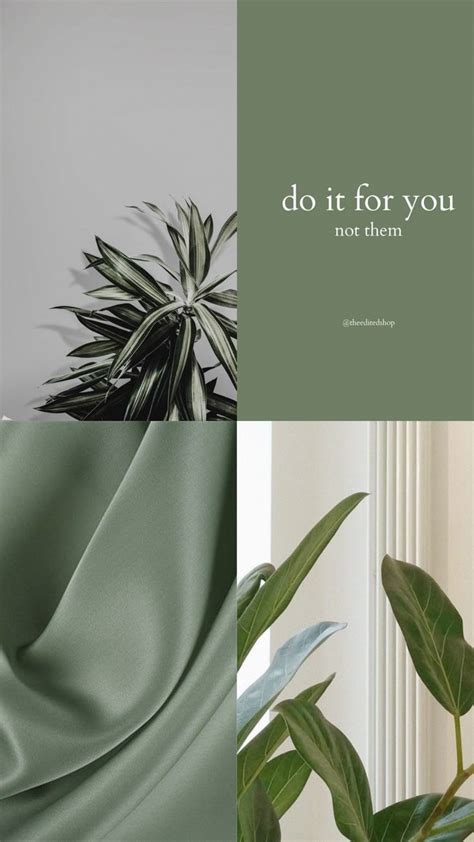 pastel green iphone wallpaper green aesthetic tumblr mint green