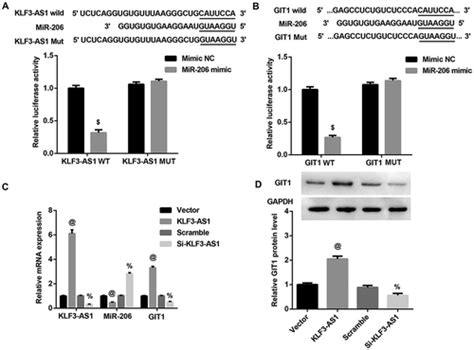 Full Article Msc Derived Exosomes Promote Proliferation And Inhibit