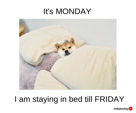 10 relatable memes about the Monday blues - India Today