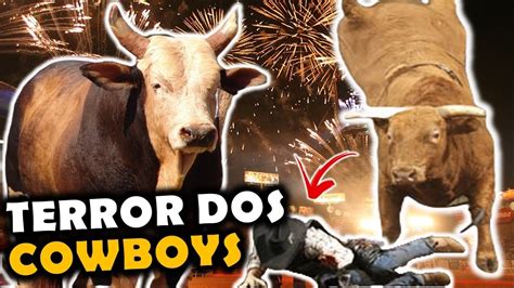 9 TOUROS DE RODEIO MAIS PERIGOSOS DO MUNDO YouTube