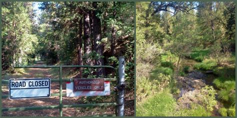 Big Creek Trail, the Flattest Trail in Groveland – Beaut-Tree.net