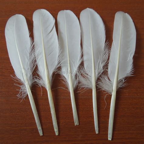 NEW ARRIVAL! 50PCS/LOT 15 20cm NATURE WHITE GOOSE Quill FEATHERS,Goose Wing Feathers for ...